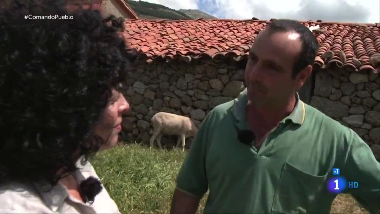 Comando Actualidad - Pueblos vivos - Volver al redil