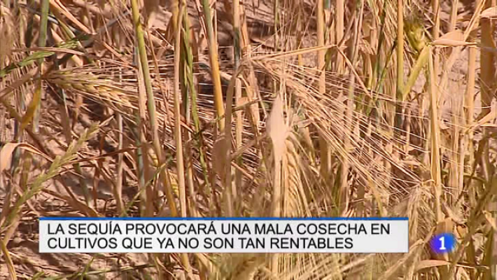 Informativo Telerioja - Telerioja en 2' - 26/06/19