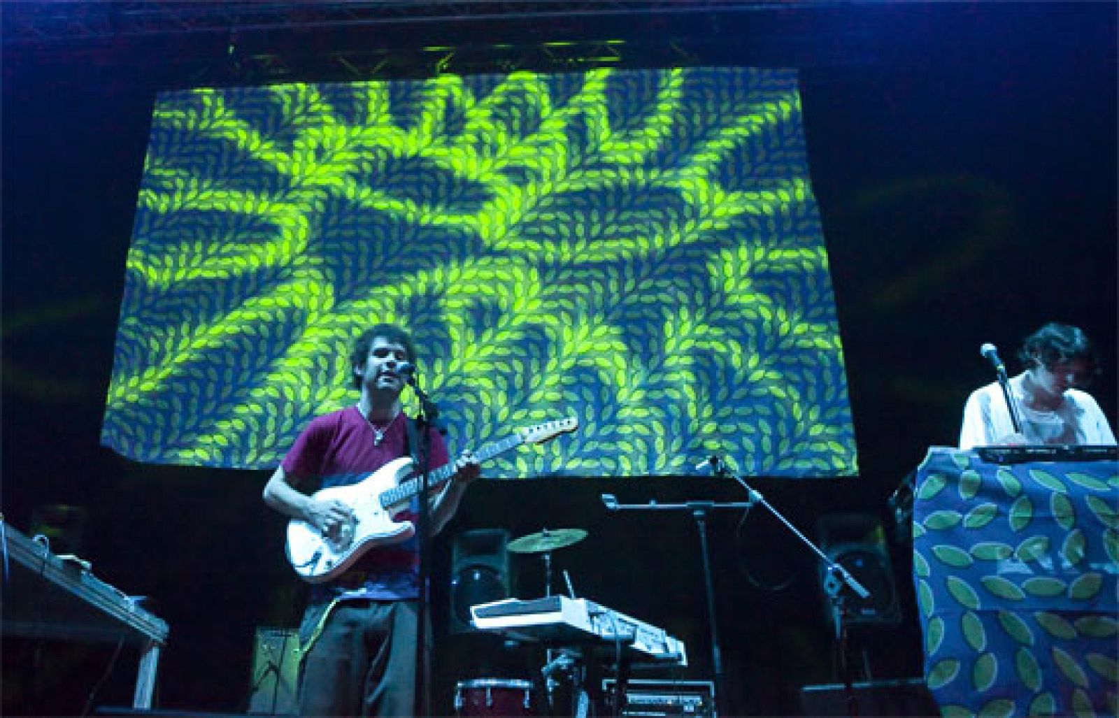 Sónar 2009 - Animal Collective | Ver