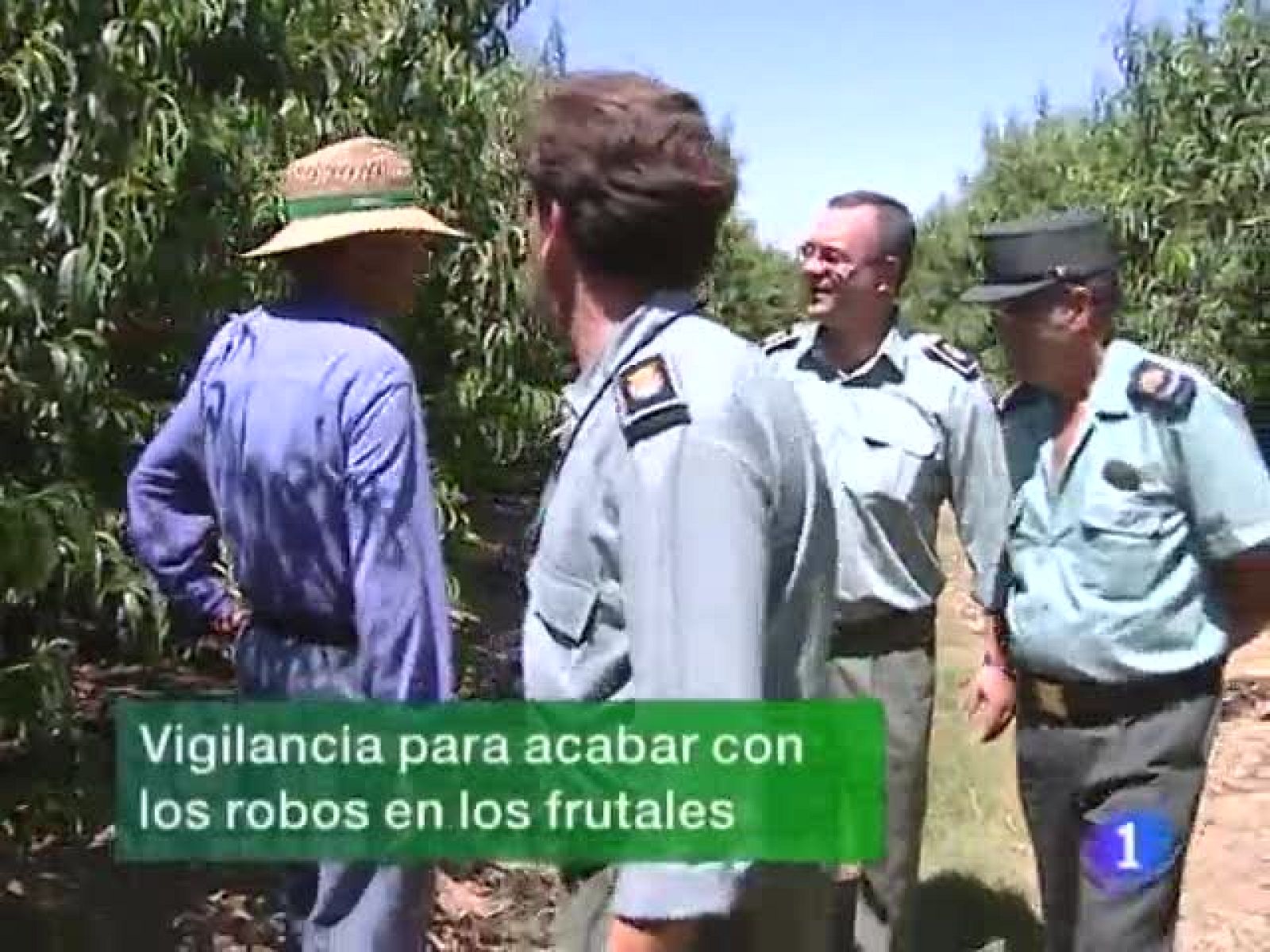 La Guardia Civil intensificará la vigilancia en las explotaciones agrarias para evitar los robos, ahora más numerosos en plena campaña de la fruta... 360 guardias civiles patrullarán por caminos y carreteras de la provincia de Badajoz. Por otro lado