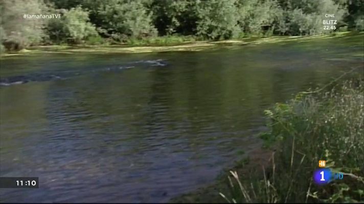 La mañana - Niño de 8 años salva a su familia