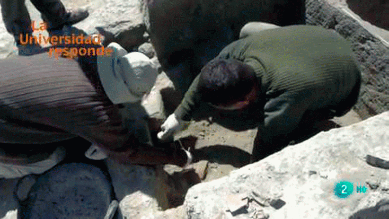 ¿Cómo se consigue en arqueología tanta información a partir de los restos encontrados? Universidad de Granada. La Universidad Responde. La aventura del saber