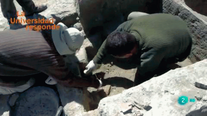 La aventura del saber. ¿Cómo se consigue en arqueología tanta información a partir de los restos encontrados?