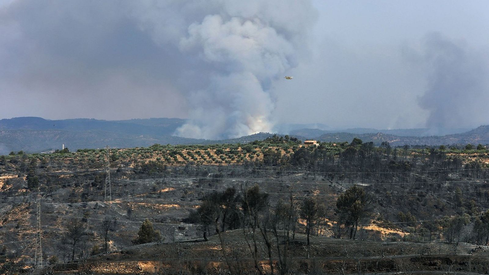 Los bomberos alertan de la "situación muy crítica" del incendio de Tarragona, que ha arrasado ya 5.500 hectáreas