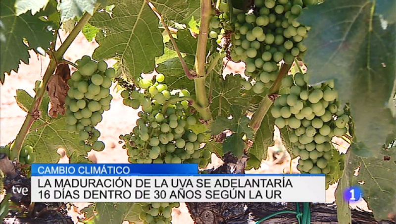 Telerioja en 2' - 27/06/19