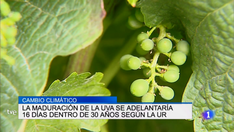 Informativo Telerioja 2 - 27/06/19