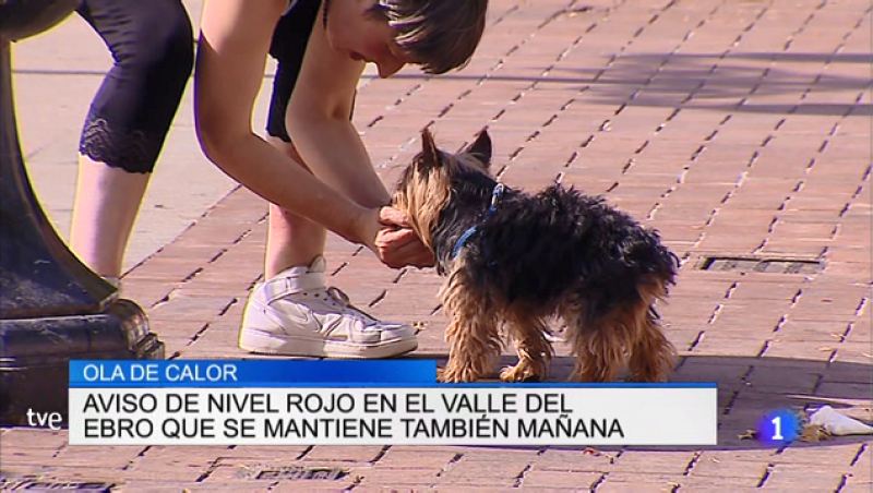 Telerioja en 2' - 28/06/19