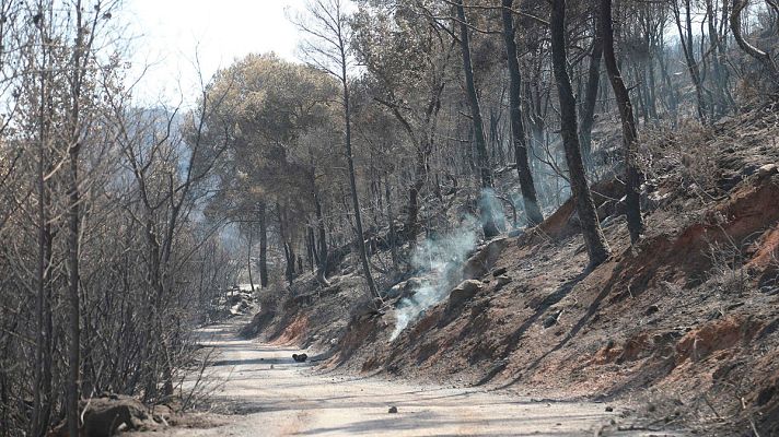 Informativo 24h - El incendio de la Ribera d'Ebre en Tarragona está perimetrado y en vías de estabilización