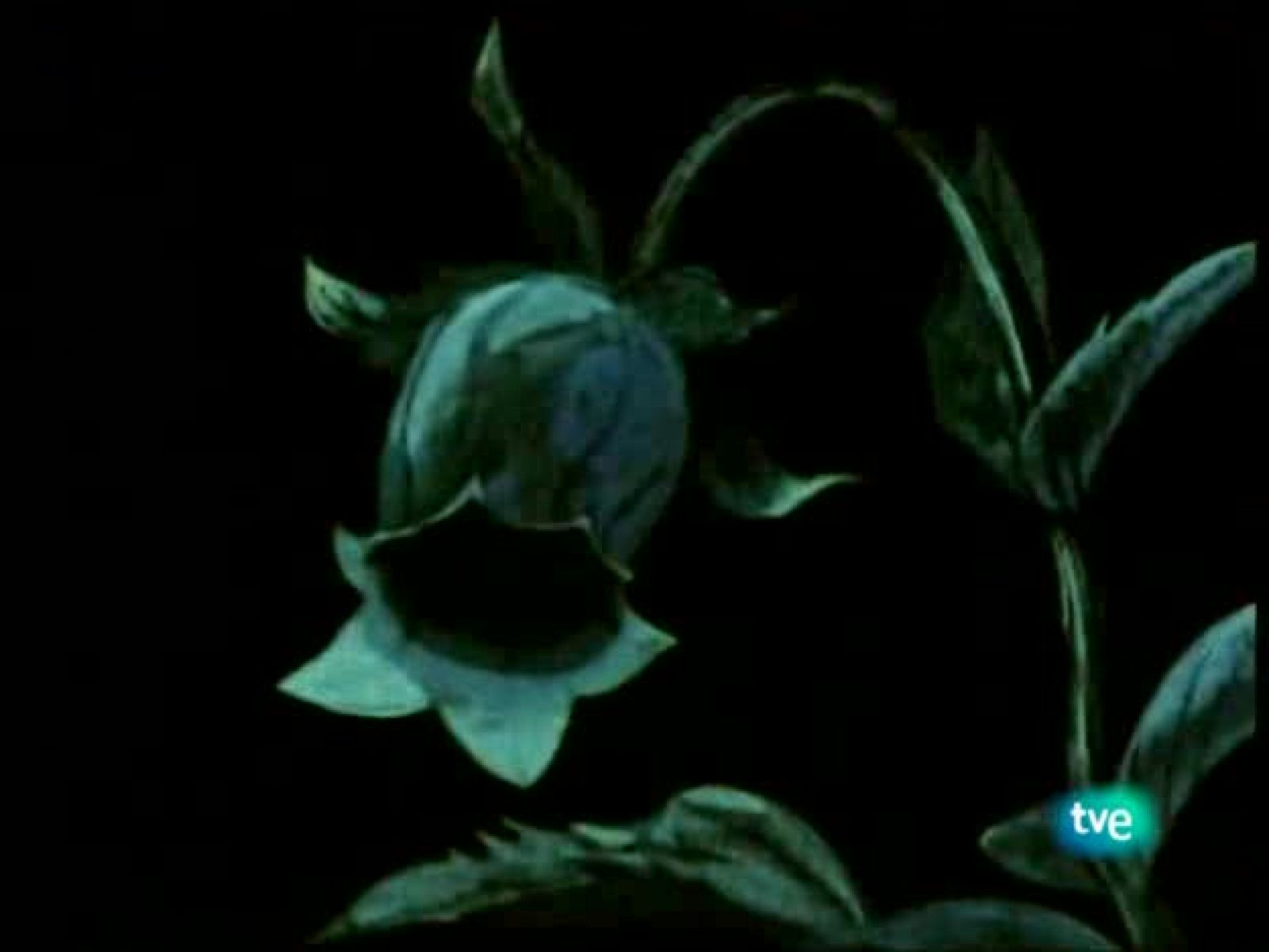 Maya se vuelve gigante - La Abeja Maya | Ver
