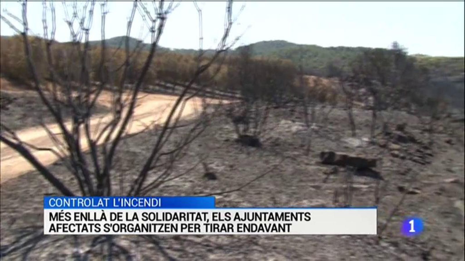 L'Informatiu - 01/07/2019