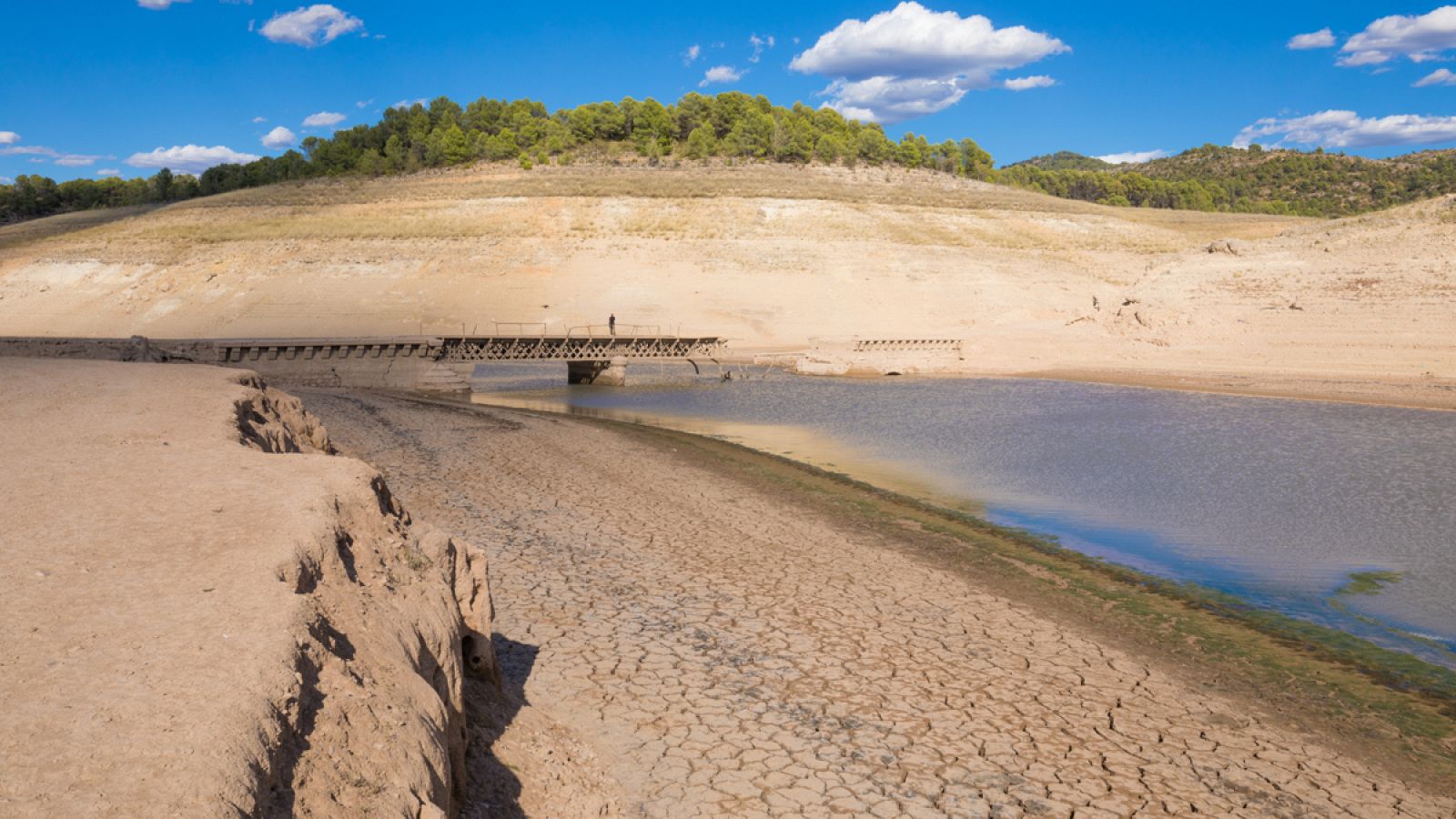La sequía daña un millón de hectáreas de cereal en España
