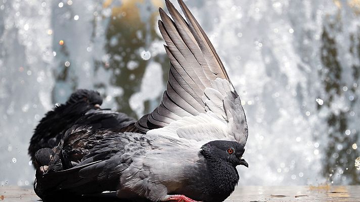 Informativo de Madrid - El Tiempo en la Comunidad de Madrid - 03/07/19