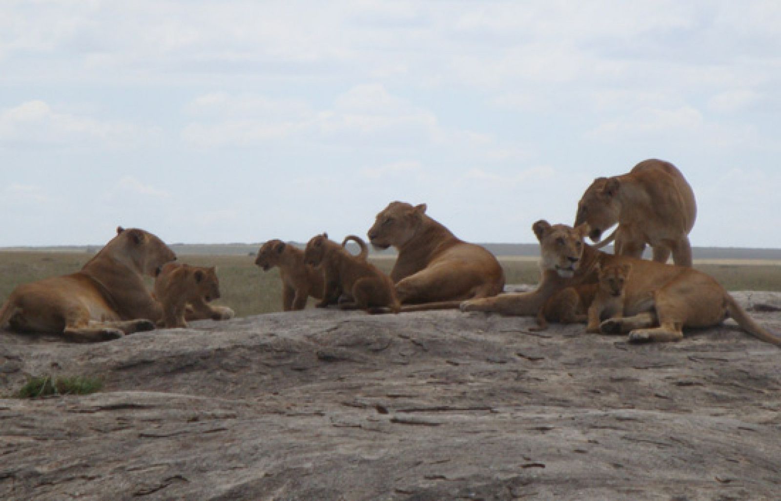 Españoles en el mundo - Tanzania - Avance | Ver