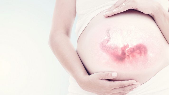 Documenta2 - Los nueve meses que te hicieron: Contra viento y marea