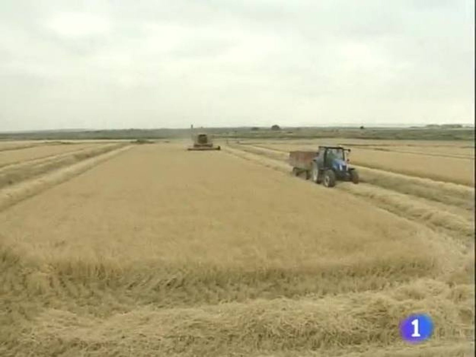 Noticias Aragón. Informativo Territorial de Aragón (24/06/09)