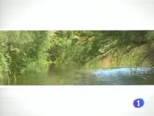 Noticias de Castilla-La Mancha - Noticias de Castilla-La Mancha - 24/06/09