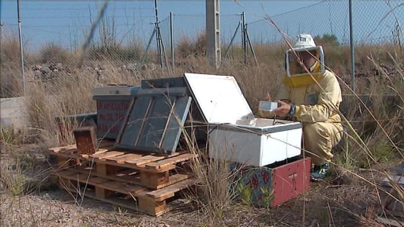 La Comunidad Valenciana en 2' - 04/07/19 - ver ahora