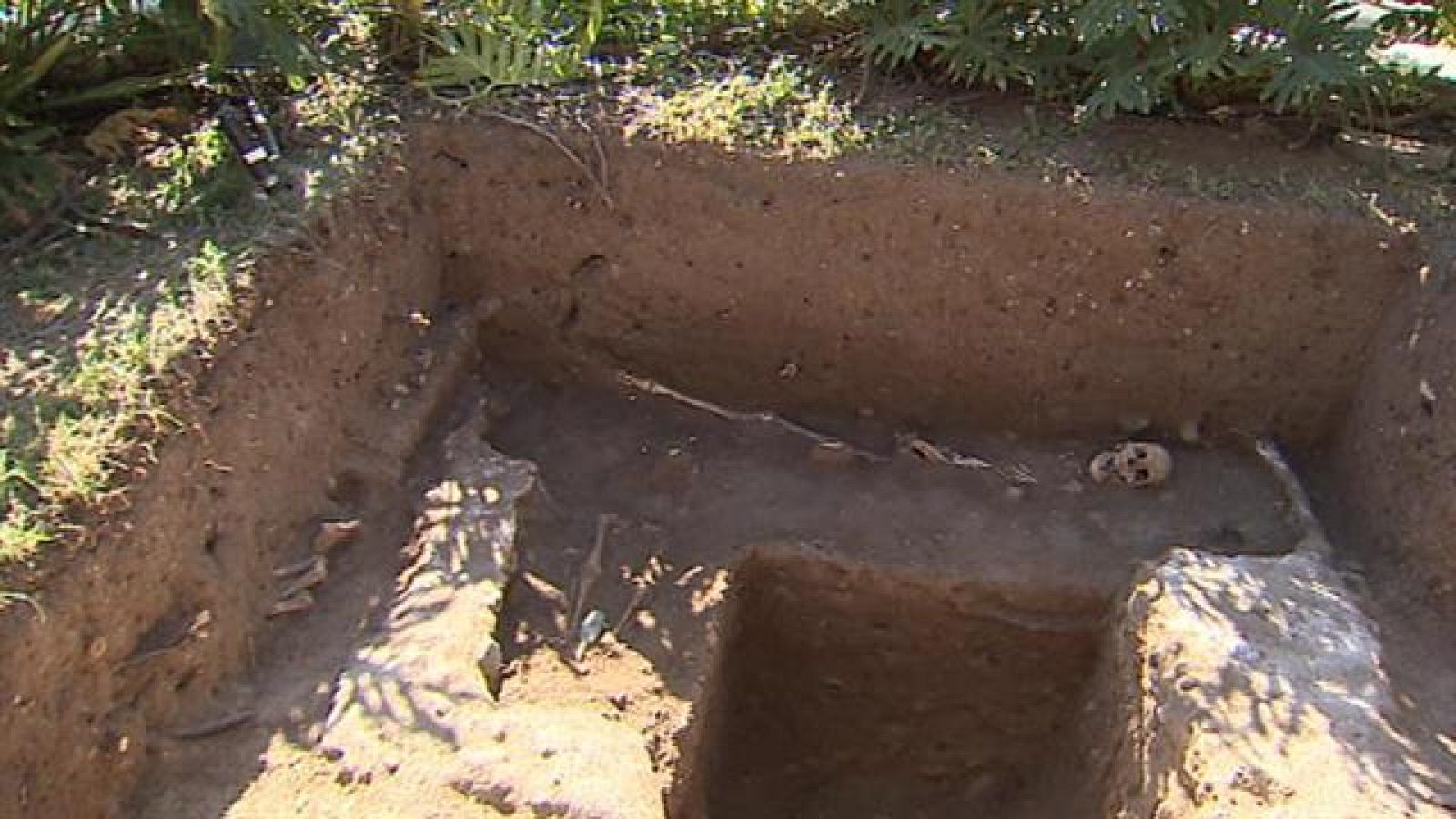 Telecanarias - 04/07/2019