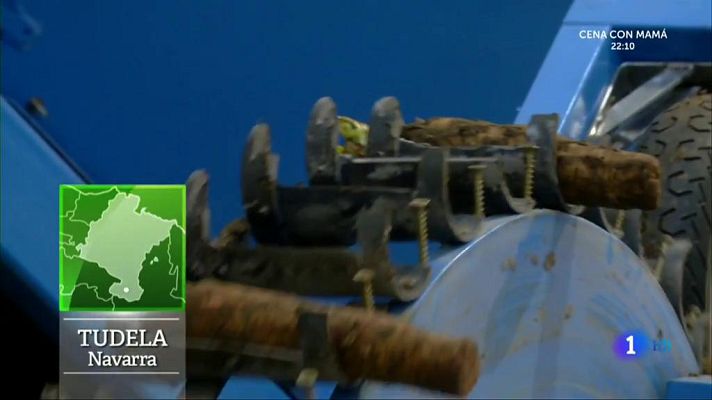 Aquí la Tierra - Cultivo de endivias, ¡fuera de lo común!