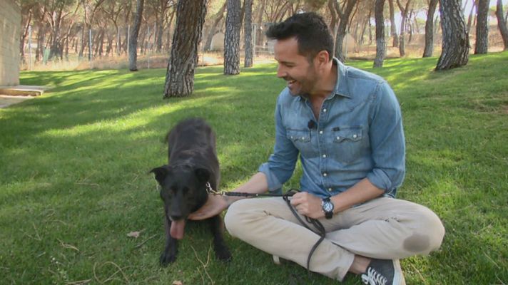 Aquí la Tierra - Héroes que buscan familia