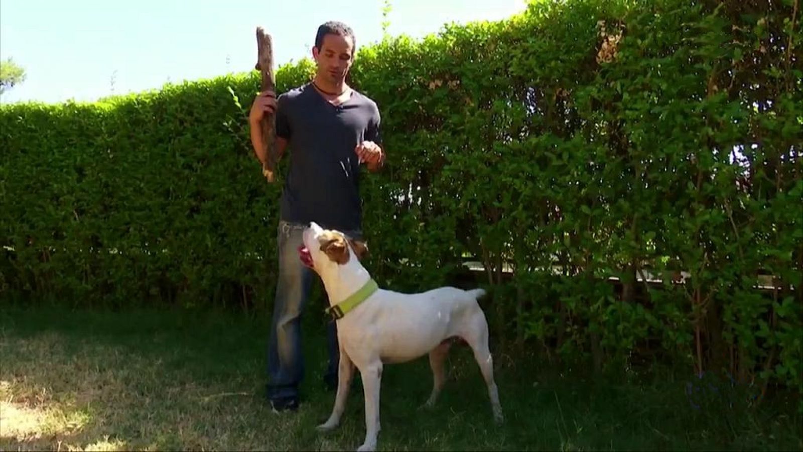 +Cotas - 06/07/19 - ver ahora