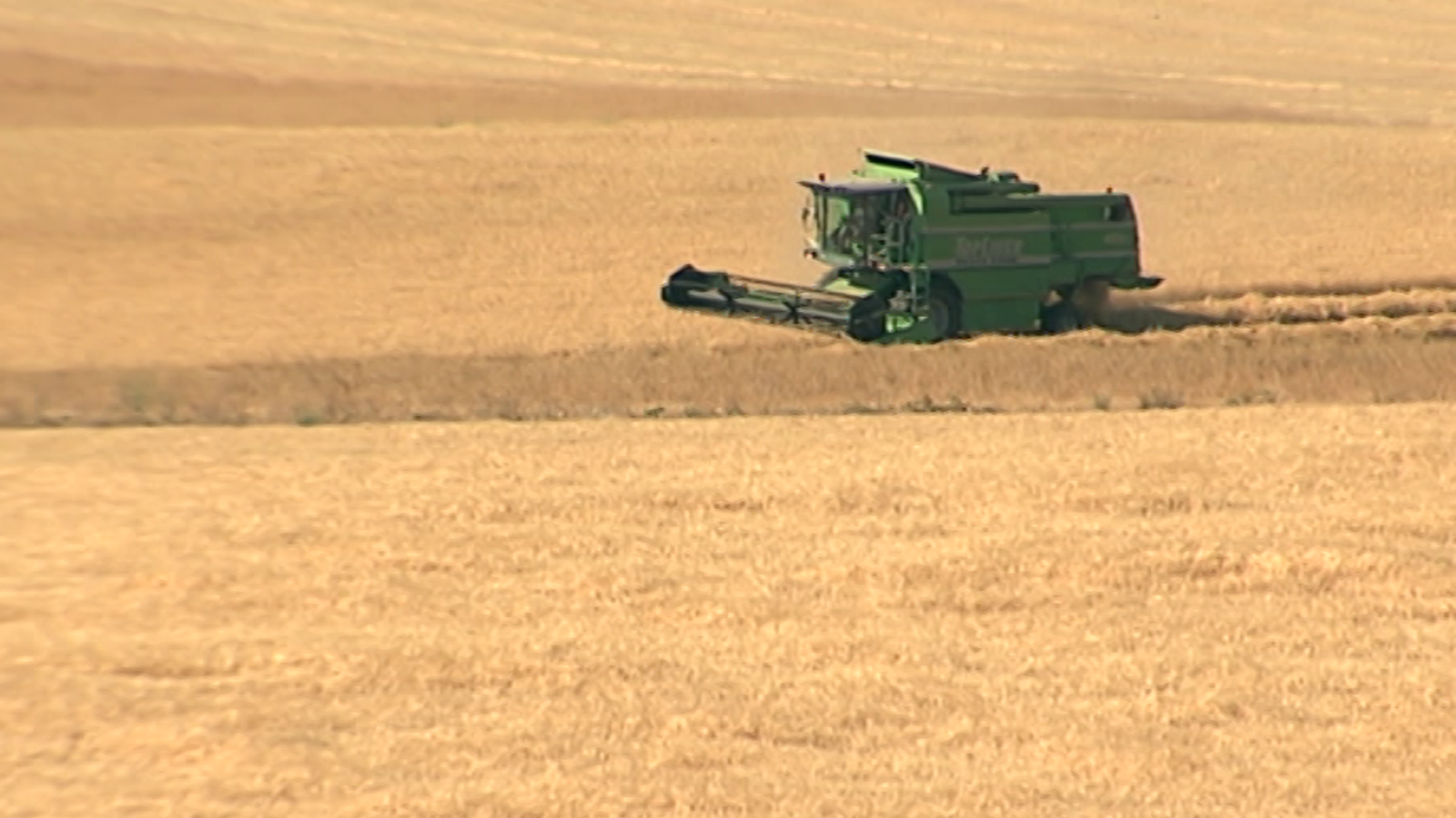 Agrosfera - 06/07/19 - ver ahora