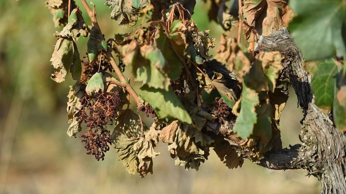 El tiempo - Alerta naranja por tormentas en el sudeste y por temperaturas en el noreste