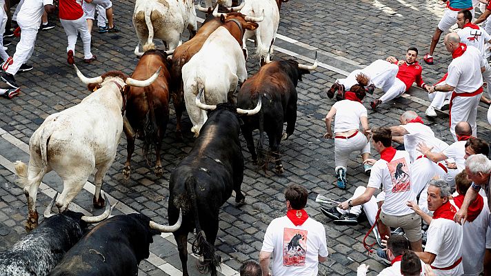 San Fermín - "Ha sido una ganadería bastente limpia para lo que en principio se esperaba de ella"