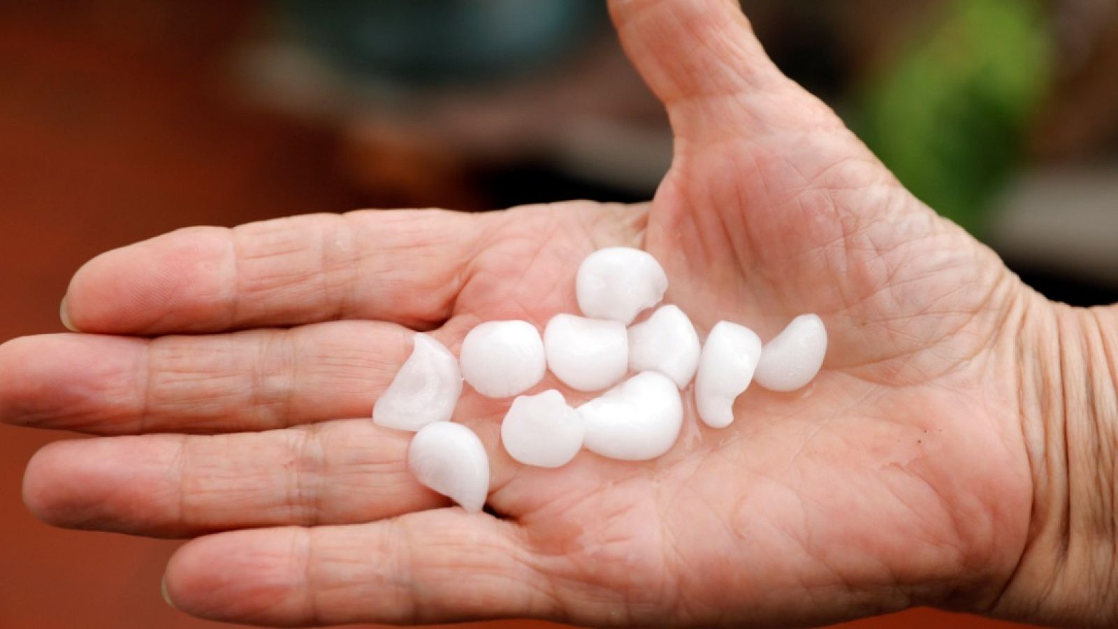 La Comunidad Valenciana en 2' - 08/07/19 - ver ahora