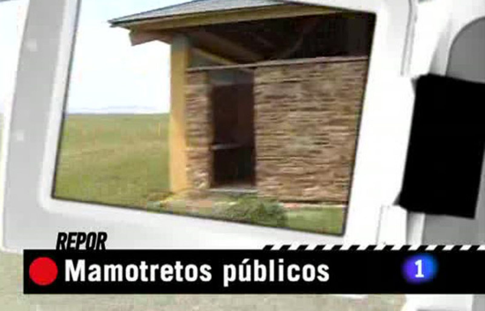 Repor - Mamotretos públicos - Repor | Ver