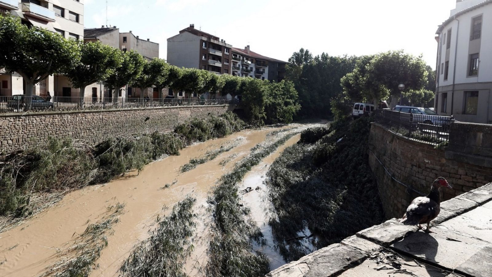 La Mañana - 09/07/19 - ver ahora