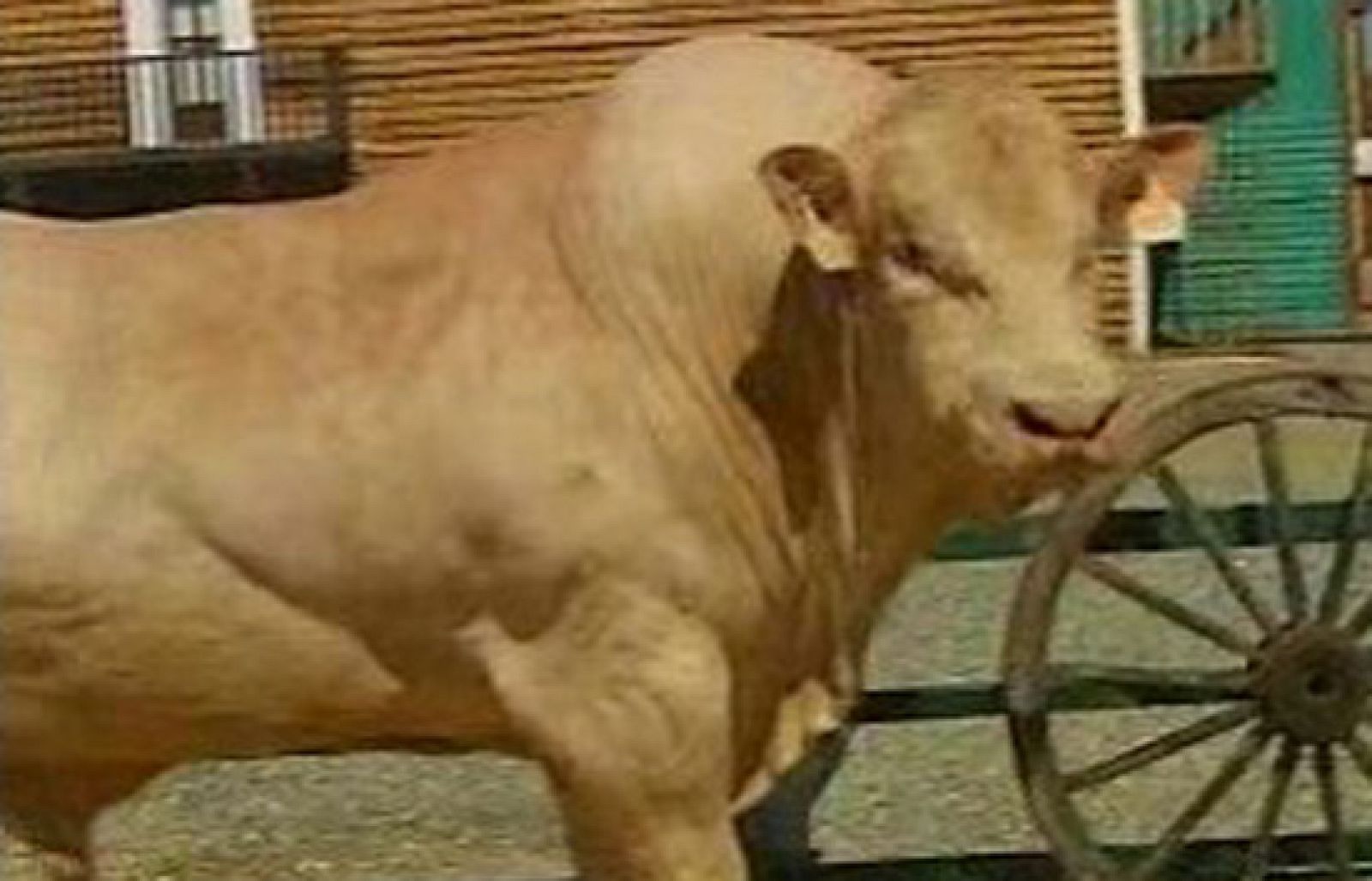 España Directo - "Caribe" ya es sevillano | Ver