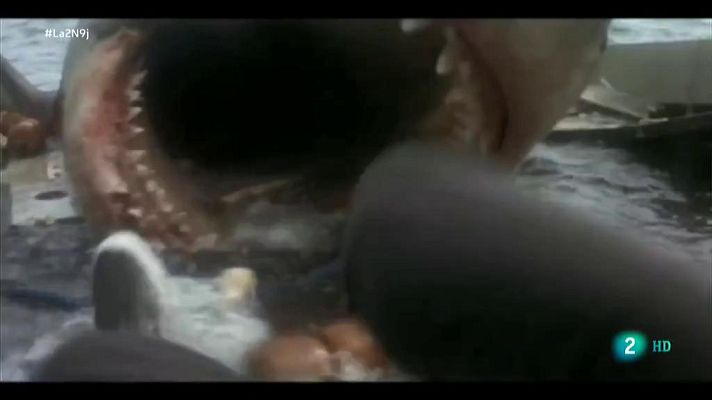 La 2 Noticias - Hay 17 especies de tiburón en peligro de extinción