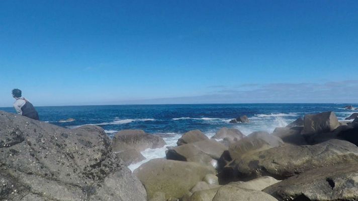 Aquí la Tierra - Mario Lebrato y el sargo