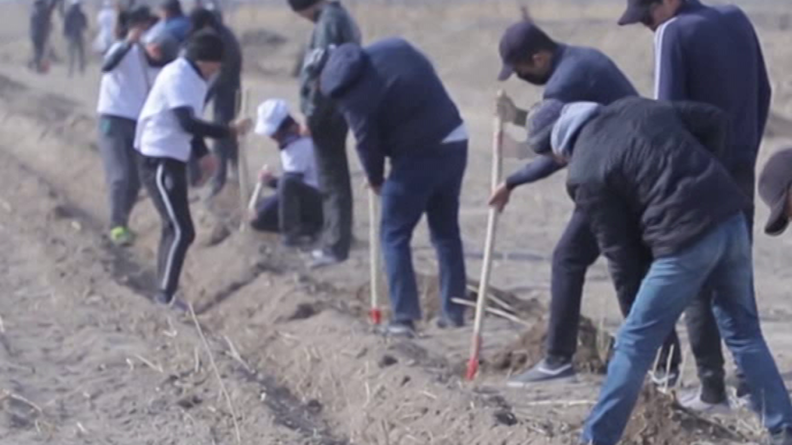 La 2 Noticias - 09/07/19 - ver ahora