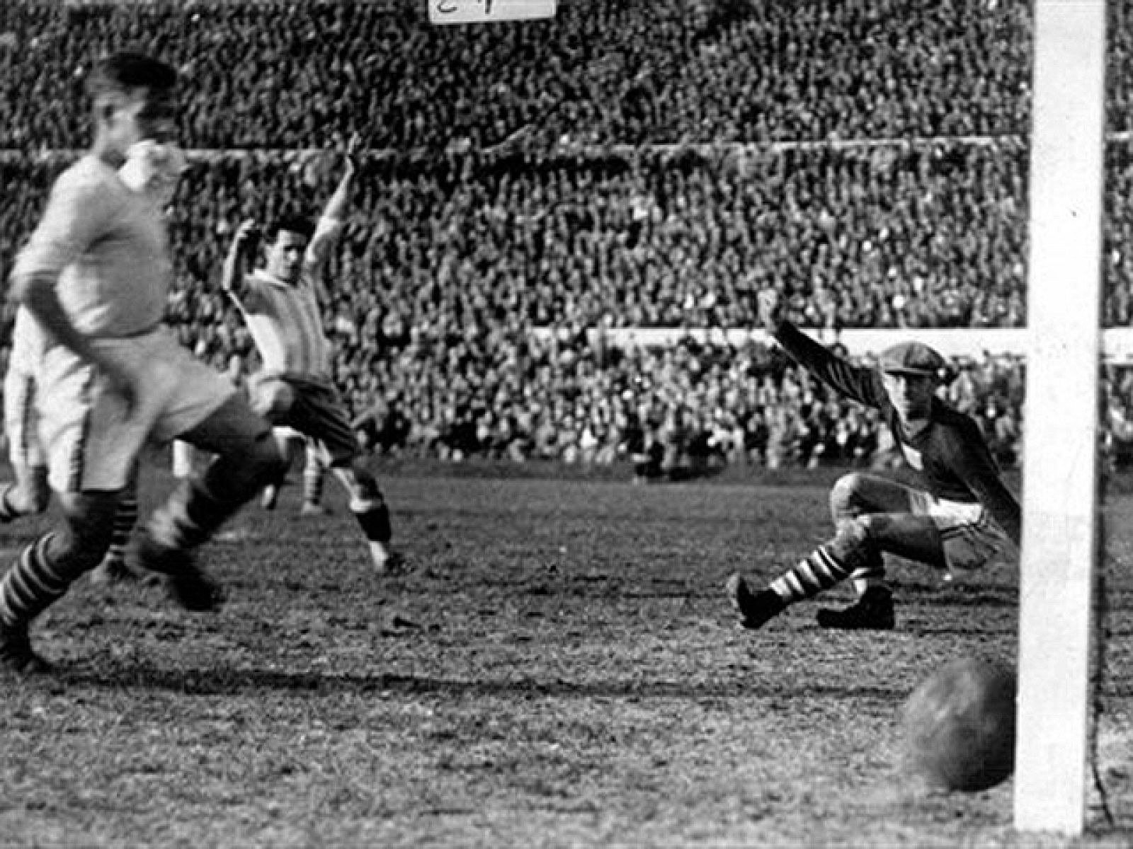 ¿Mono de España-Brasil? | Ver