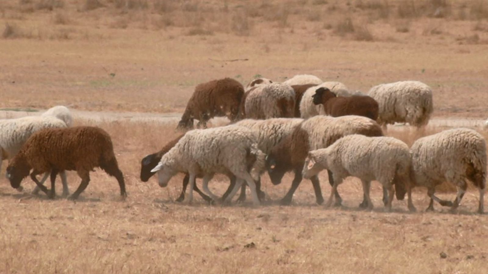 Aquí la Tierra - 11/07/19 - ver ahora