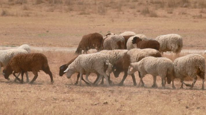 Aquí la Tierra - Aquí la Tierra - 11/07/19