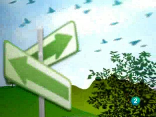 Actívate. El reto del bienestar - Actívate - El reto del bienestar - 26/06/09