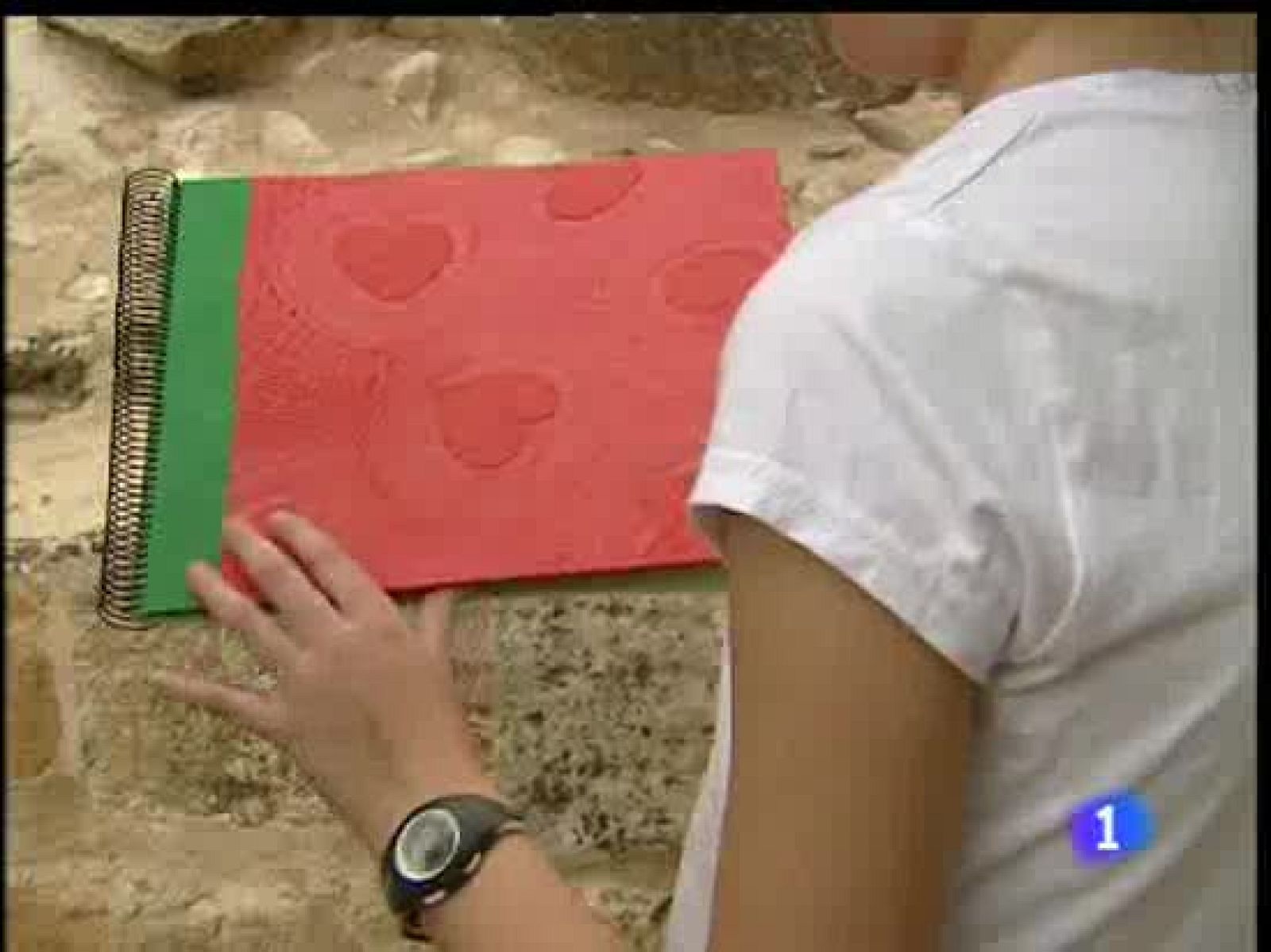 Éxito en los trasplantes a niños - Ciencia y tecnología en Rtve.es | Ver