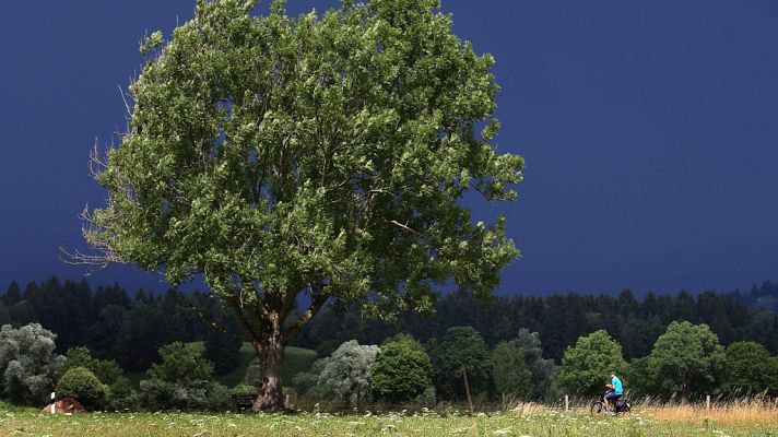 El tiempo - Se han activado avisos de nivel amarillo en Málaga y Murcia ante las altas temperaturas