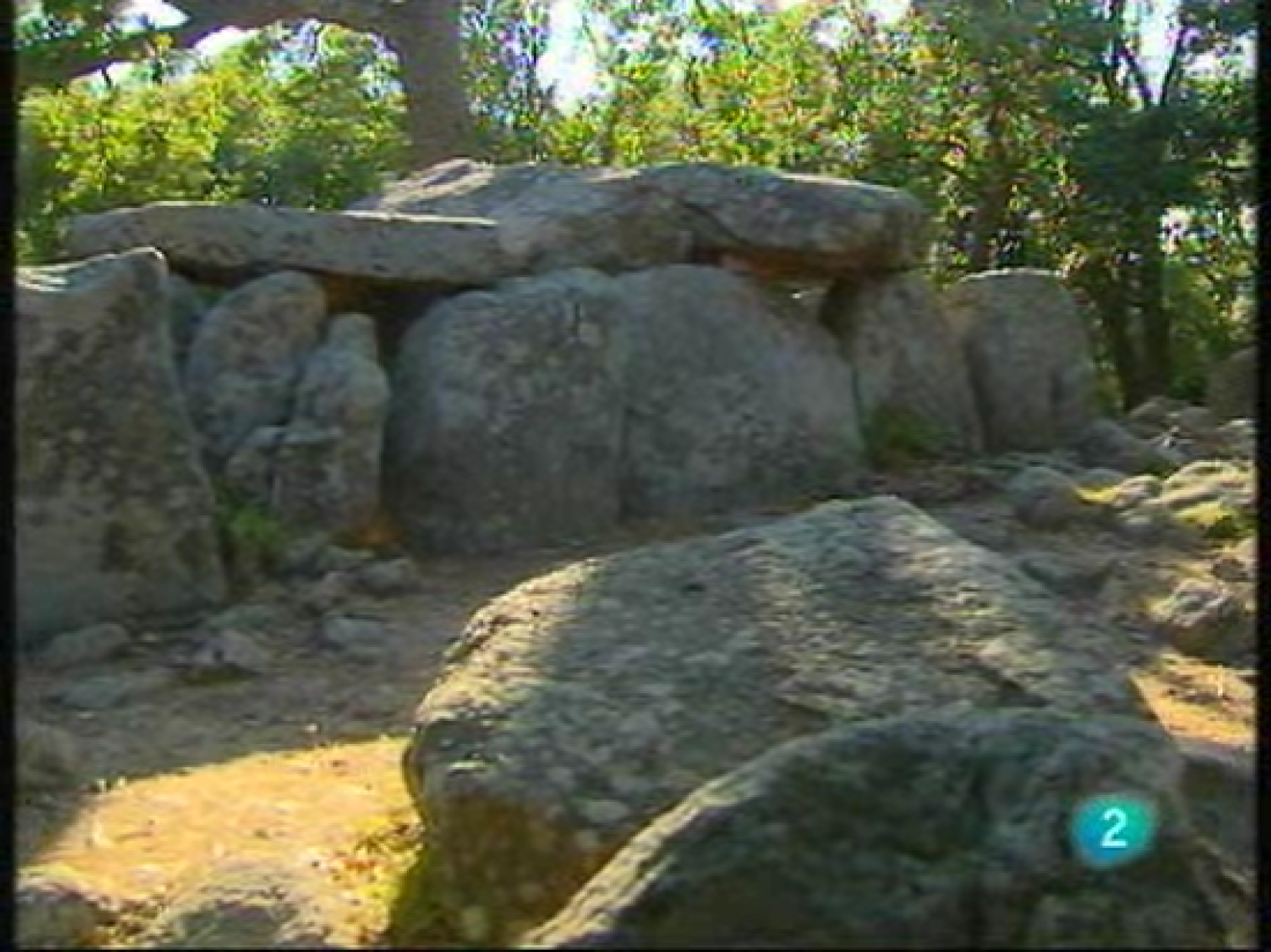 Els camins de la calma: les gavarres