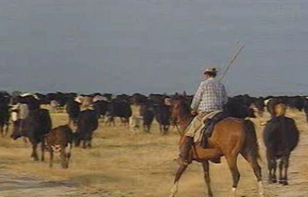 España Directo - "Cowboys" a la española