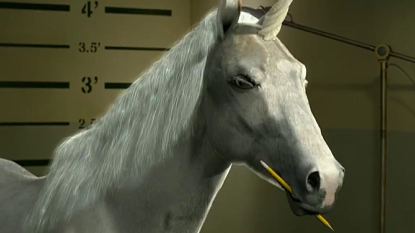 Cómo interrogar a un unicornio - División O | Ver