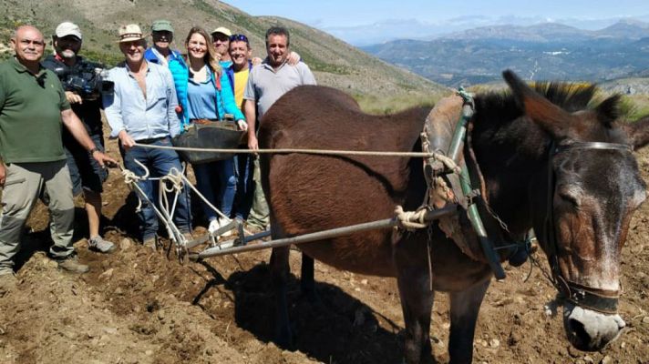 Aquí la Tierra - En busca de las "copo de nieve"