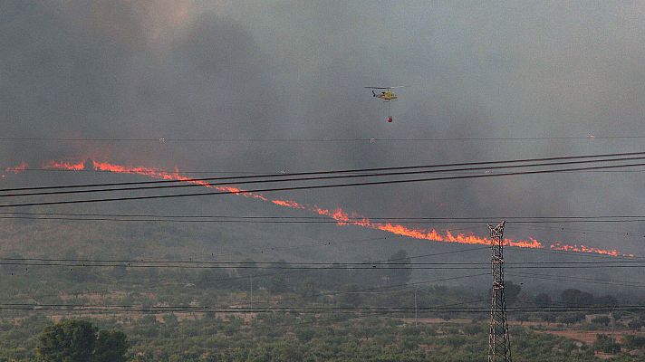 Telediario 1 - Telediario 1 en 4' - 16/07/19