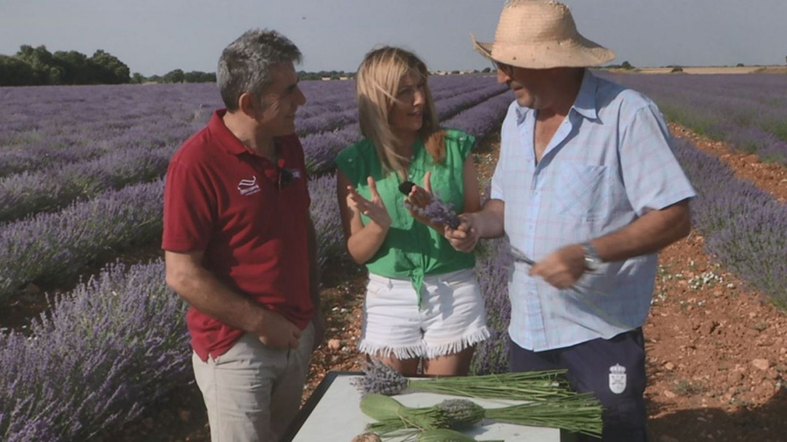Aquí la Tierra - 16/07/19 - ver ahora