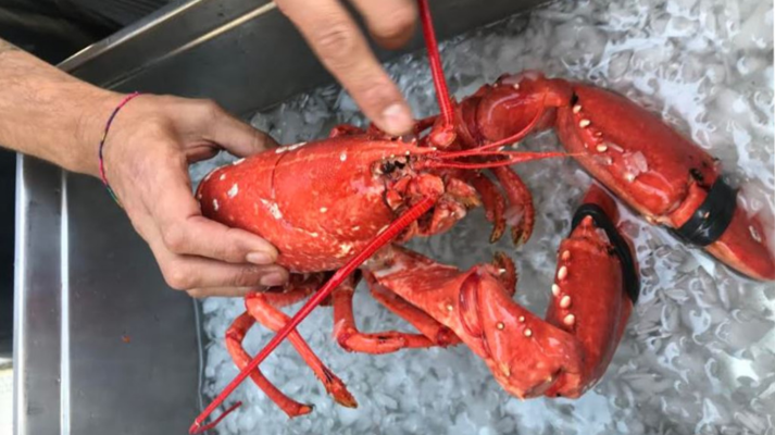 Aquí la Tierra - Aquí la Tierra - 17/07/19