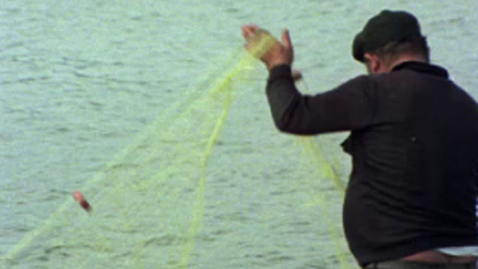 El arca de Noé - El estuario del Tajo - El arca de Noé (serie documental) | Ver