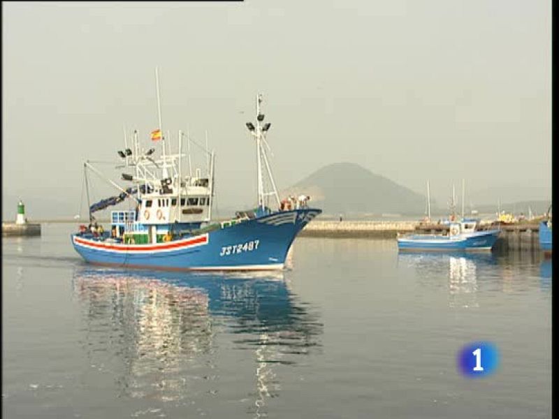 La pesca de la anchoa en el Golfo de Vizcaya seguirá prohibida por quinto año consecutivo | Ver